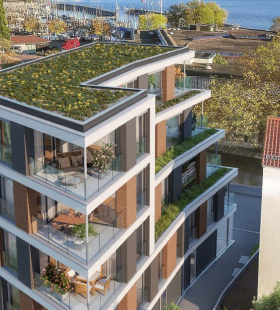 Olgastrasse_Beitragsbild